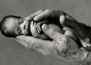 Projeto de Lei que libera o aborto foi aprovado às pressas na Câmara e no Senado. CNBB pede a Dilma que não sancione a Lei