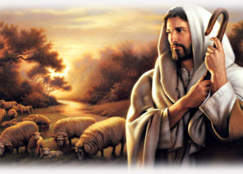 16º Domingo do Tempo Comum – O Divino Carpinteiro das almas