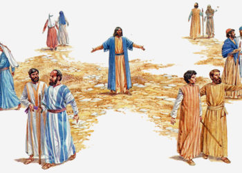 15º Domingo do Tempo Comum