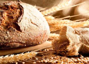 XVIII Domingo do Tempo Comum – Ano B