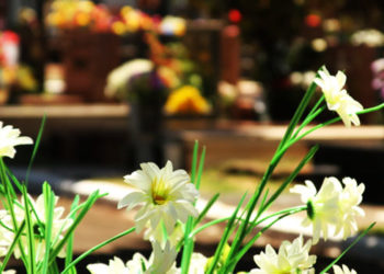 Espiritualidade: A esperança cristã