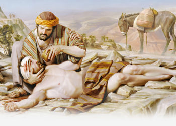 15º Domingo do Tempo Comum