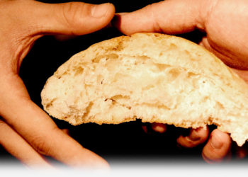 17º Domingo do Tempo Comum