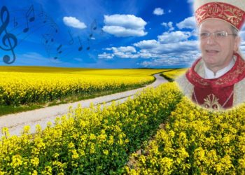 Professor de Francisco Beltrão compõe poema a Dom Agenor