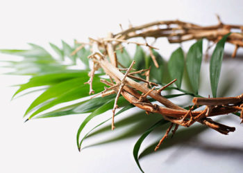 Liturgia para o domingo de Ramos e da Paixão do Senhor