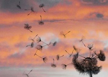 Kidnapped Kid – Menino Sequestrado