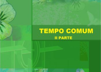 Orientações para o Tempo Comum