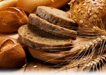 18º Domingo do Tempo Comum