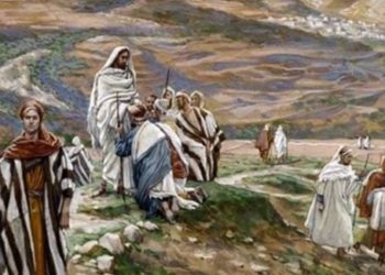 14º Domingo Do Tempo Comum