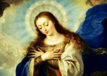 Solenidade Imaculada Conceição de Nossa Senhora