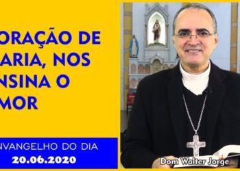 Evangelho do Dia – 20.06.2020 – com Dom Walter Jorge