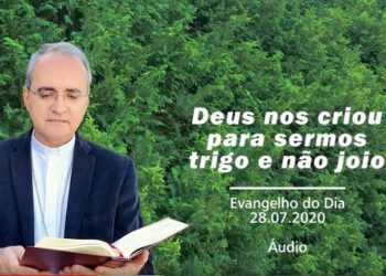 Evangelho do Dia – 28.07.2020 – com Dom Walter Jorge