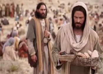 18º Domingo Do Tempo Comum