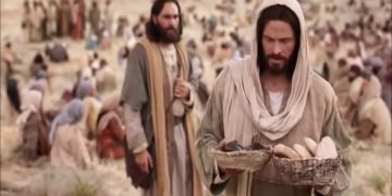 18º Domingo Do Tempo Comum