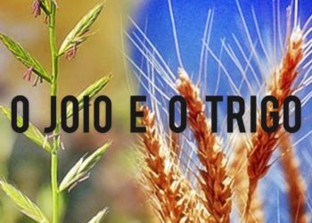 Roteiro Celebrativo em família para este Domingo – 16º do Tempo Comum