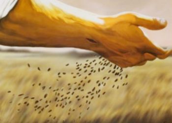 Roteiro Celebrativo em família para este Domingo – 15º do Tempo Comum