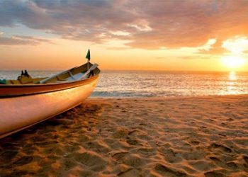 Aproxima-se o Mês Vocacional – Como discernir a Vocação?