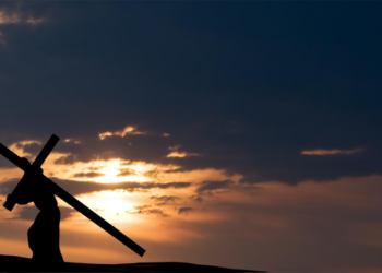 22º Domingo do Tempo Comum