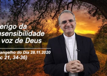 Evangelho do Dia – 28.11.2020 – com Dom Walter Jorge