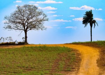 2º Domingo do Advento