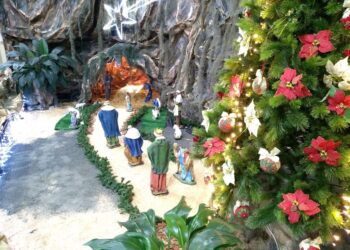 Pastorais, Movimentos e Organismos transmitem seus votos de Natal e Ano Novo