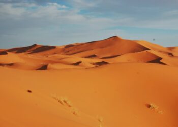 3º Domingo do Advento