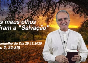 Evangelho do Dia – 29.12.2020 – com Dom Walter Jorge