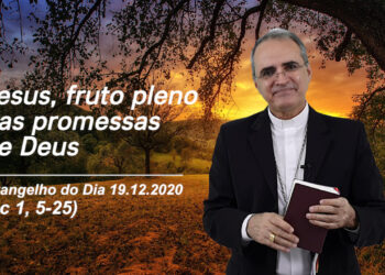 Evangelho do Dia – 19.12.2020 – com Dom Walter Jorge