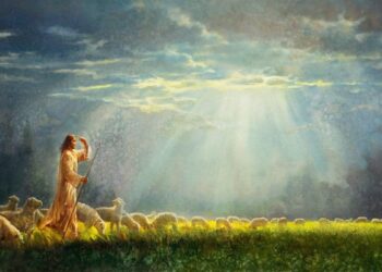 Homilia 4º Domingo de Páscoa