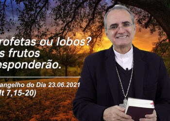 Evangelho do Dia – 23.06.2021 – com Dom Walter Jorge