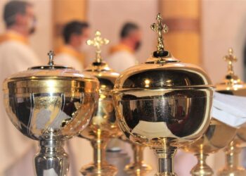 Os Ministérios e Serviços Litúrgicos – Artigo – Diácono Alisson