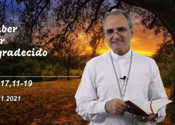 Evangelho do Dia – 10.11.2021 – com Dom Walter Jorge
