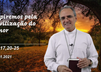 Evangelho do Dia – 11.11.2021 – com Dom Walter Jorge