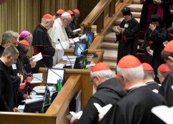 Sínodo: Reaprendendo a caminhar juntos – Artigo de Dom Walter Jorge