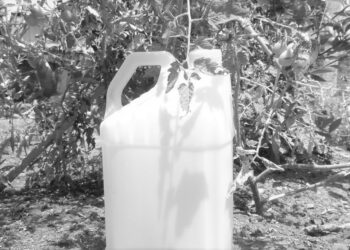 AGROTÓXICO agora têm nome bonito: “produto de controle ambiental”  – Vamos nos mobilizar