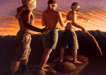 8º Domingo Do Tempo Comum