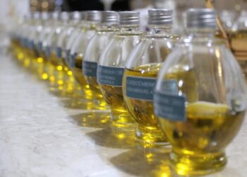 Missa do Crisma nesta quarta-feira acolhe todo o clero da Diocese, que renovará suas promessas sacerdotais