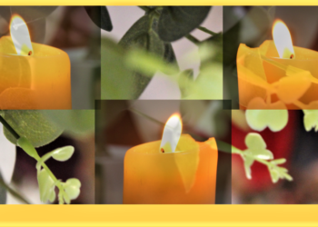 Valorizar e aceitar o Dom da vida – Artigo do Psicólogo Sérgio Gelchaki