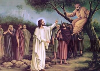 31º Domingo do Tempo Comum