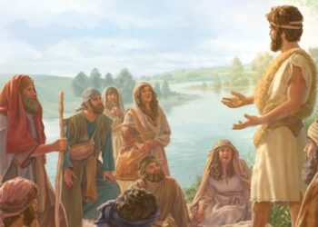 2º Domingo do Advento