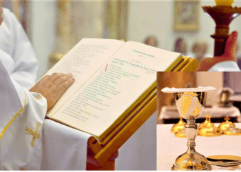 Reflexões Litúrgicas – Do 17º ao 22º Domingo do Tempo Comum