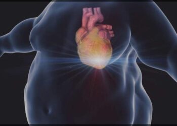 Os Riscos da Obesidade, por Ellen Gomes – Nutricionista