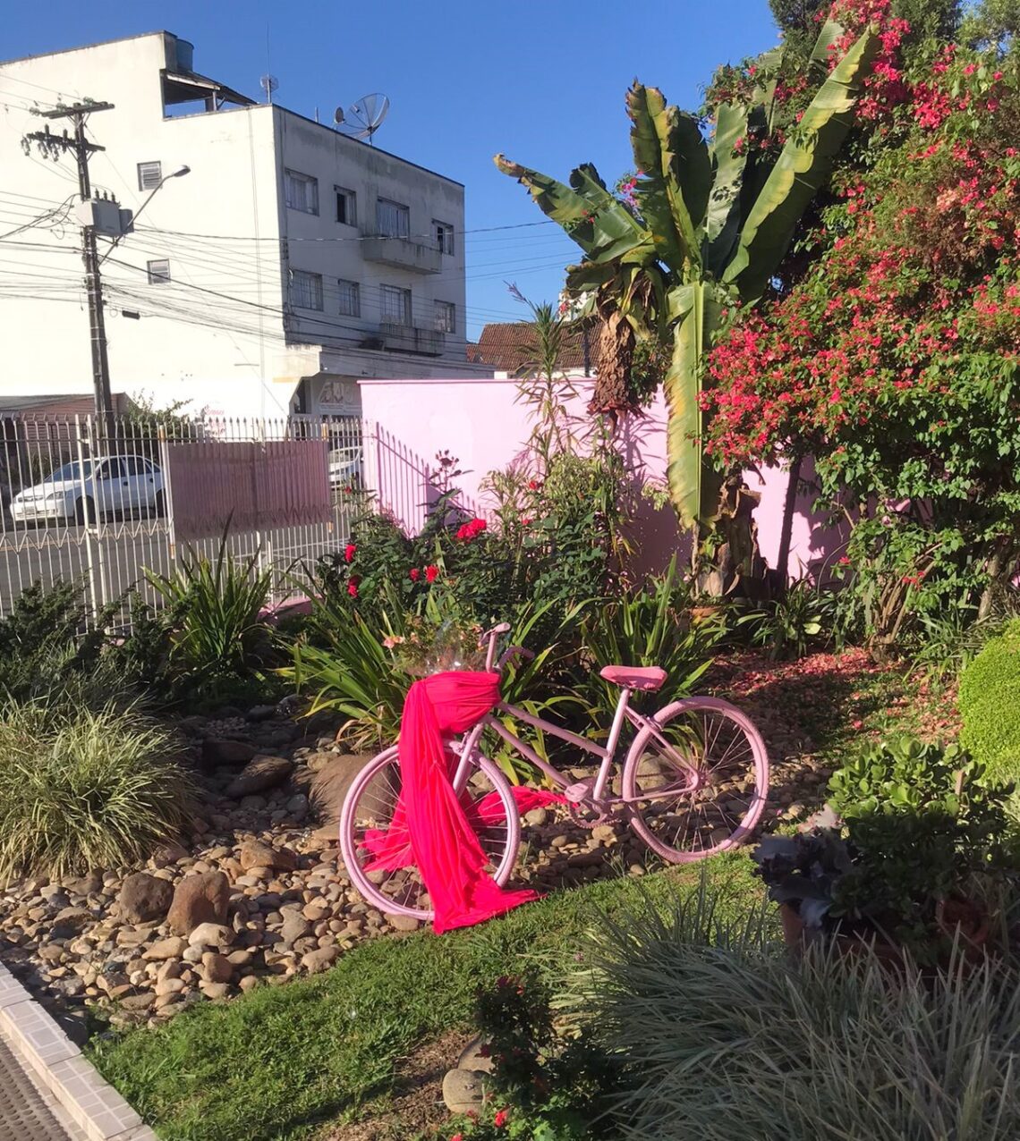 Outubro Rosa: Tudo pela cura do Câncer de mama