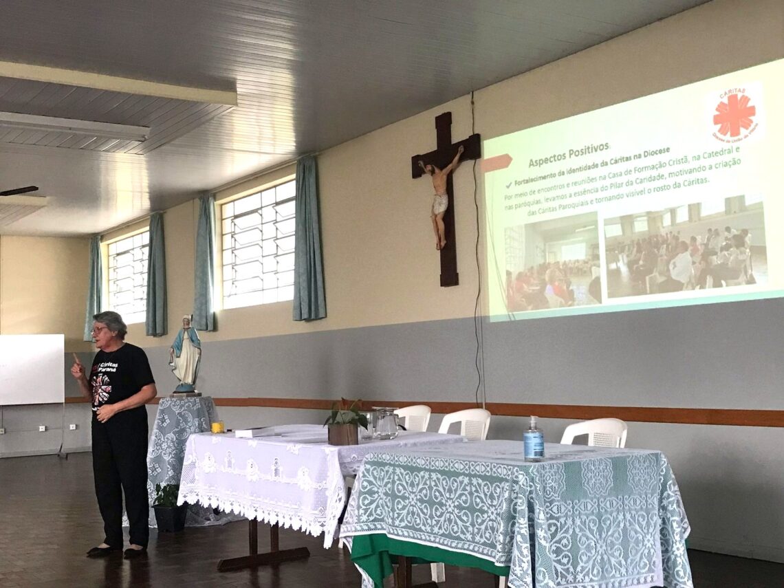 Membros do CDAE realizam 1ª reunião em 2025