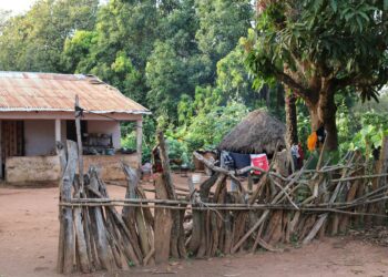 Dom Mário Spaki visita casa de família guineense e vivencia realidade de simplicidade e fé na Guiné-Bissau
