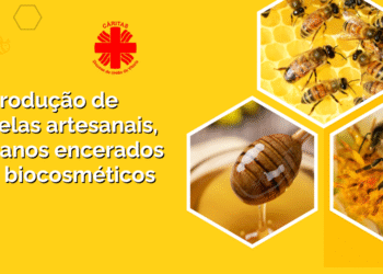 Cáritas Diocesana promove curso gratuito de artesanato com produtos da abelha