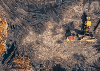 CNBB divulga nota contra a PL do Licenciamento Ambiental