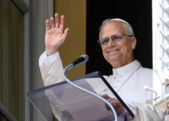 Papa Leão convida a investir nas obras de misericórdia e rezar para que cessem as guerras