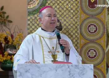 “A vida é sempre um bem!”, diz Dom Zico na abertura da Semana Nacional da Vida