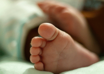 Defender a vida sempre: CNBB manifesta preocupação com decisões judiciais sobre o aborto